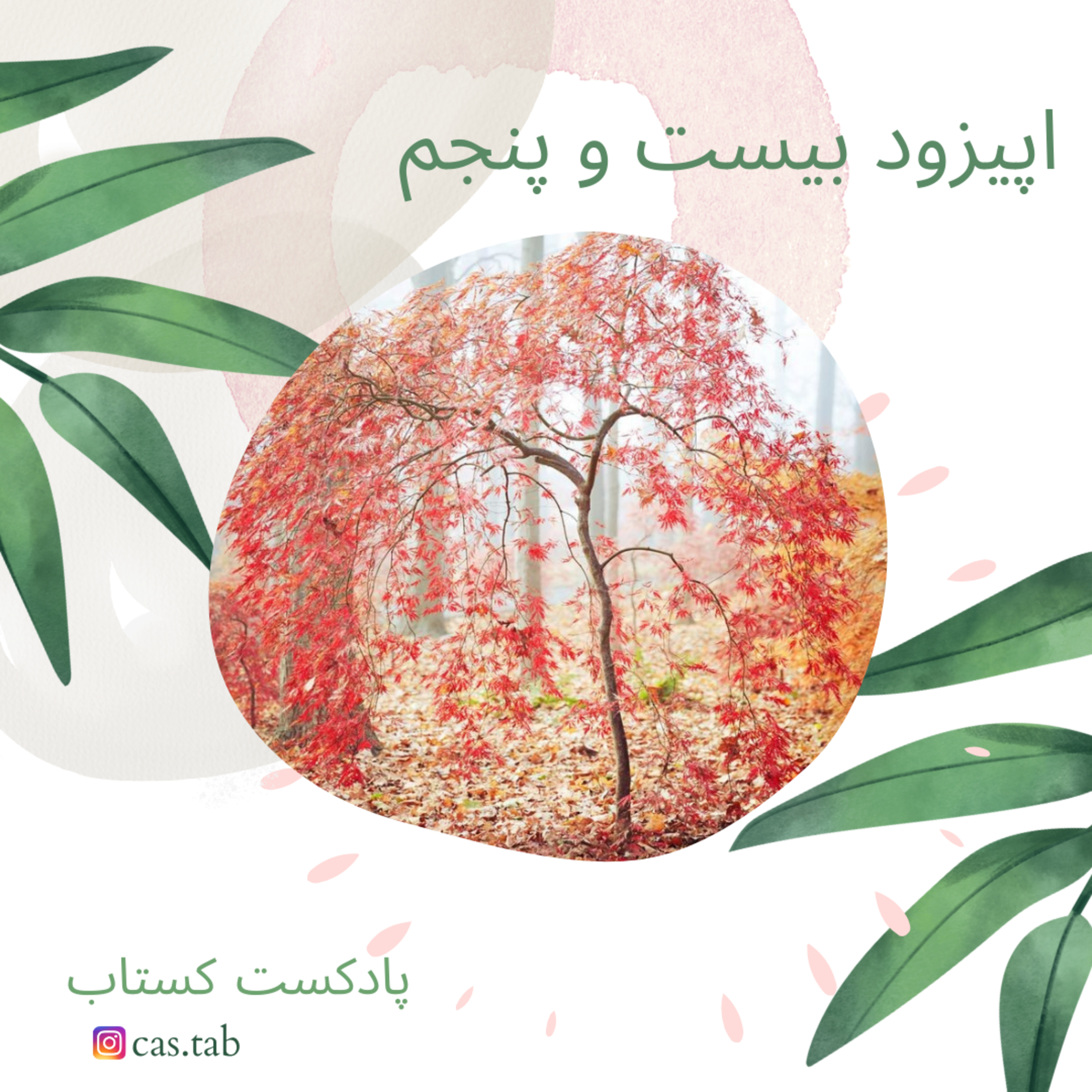 تولستوی و مبل بنفش قسمت بیست و پنجم